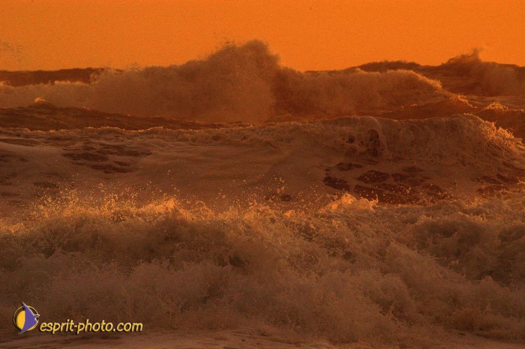 Nom de l'image : EP08-0380_(c)Norbert-JUNG — Description :